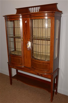 Lot 487 - Display cabinet