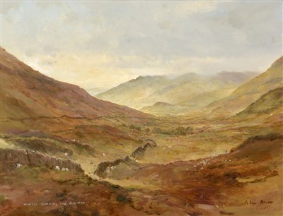 Lot 1728 - Peter Knox - oil.