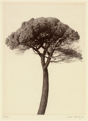 Lot 1651 - Diana Rattray - print.