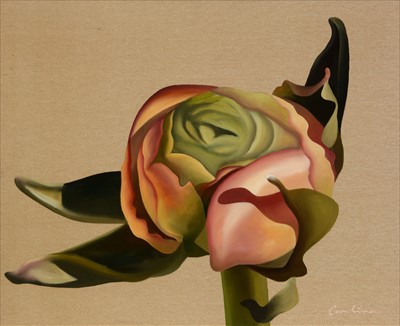Lot 1165 - Carolina Alotus - oil.