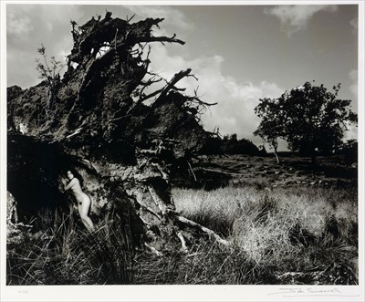 Lot 1071 - John Swannell - print.