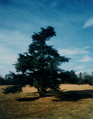 Lot 1090 - Elizabeth McAlpine - colour photograph