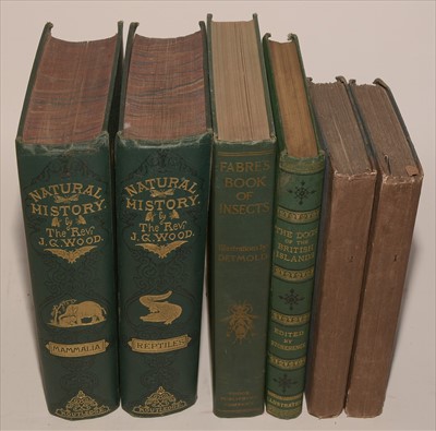 Lot 871 - History and Nature Books.