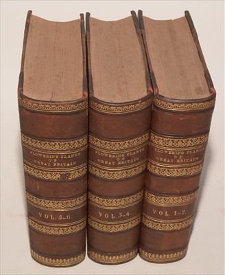 Lot 872 - Plants, Grasses, Sedges & Ferns Books.