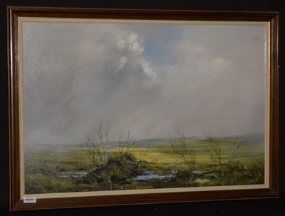Lot 1011 - Colin Rule - oil.
