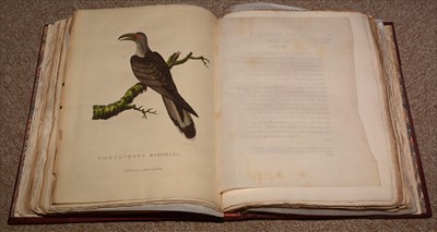 Lot 928 - Sporting Books.