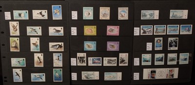 Lot 1264 - Falkland Islands