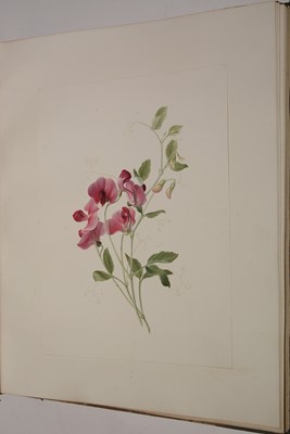 Lot 548 - Circle of S* Twopenny (19th Century).