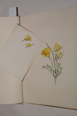 Lot 548 - Circle of S* Twopenny (19th Century).