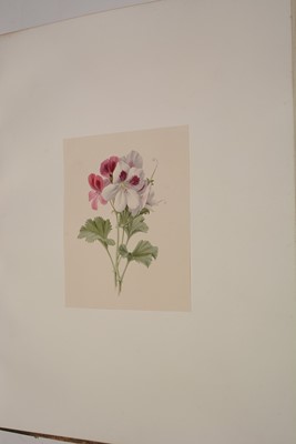 Lot 548 - Circle of S* Twopenny (19th Century).