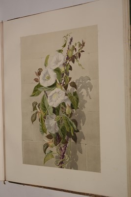 Lot 548 - Circle of S* Twopenny (19th Century).