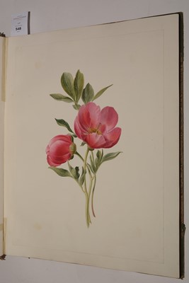 Lot 548 - Circle of S* Twopenny (19th Century).