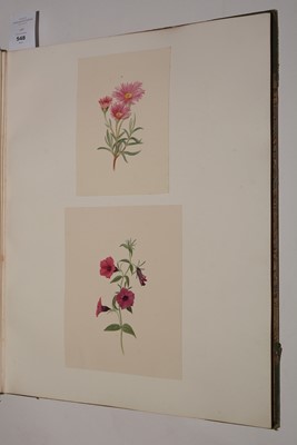Lot 548 - Circle of S* Twopenny (19th Century).