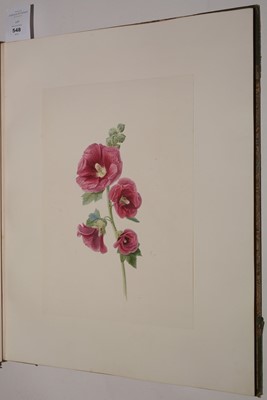 Lot 548 - Circle of S* Twopenny (19th Century).