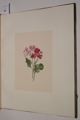Lot 548 - Circle of S* Twopenny (19th Century).