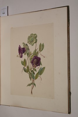 Lot 548 - Circle of S* Twopenny (19th Century).