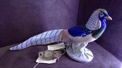 Lot 430 - Copenhagen pheasant and an owl