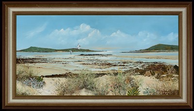 Lot 1202 - John Hamilton - the Scily Isles - birds in...