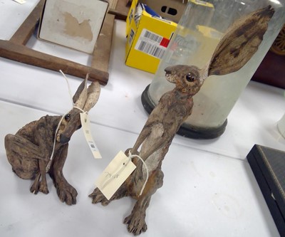 Lot 469 - Jeremy James hares