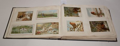 Lot 551 - Two albums of Victorian postcards.