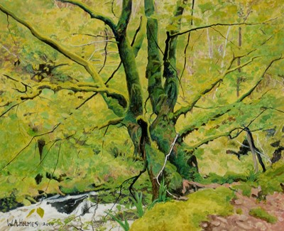 Lot 1743 - W* A* Holmes - oil.