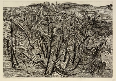 Lot 1311 - Anthony Gross - etching.