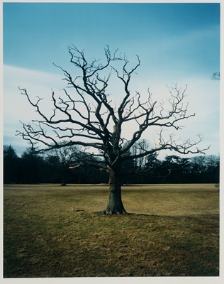 Lot 1337 - Elizabeth McAlpine - colour photograph.