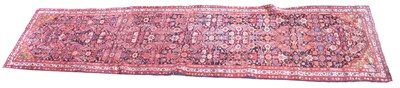 Lot 563 - Malaya runner