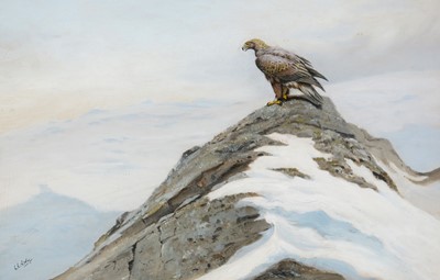Lot 487 - George Edward Lodge - watercolour.