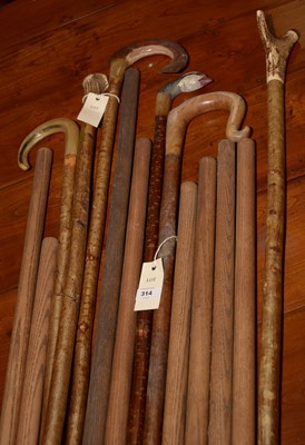 Lot 314 - Walking sticks