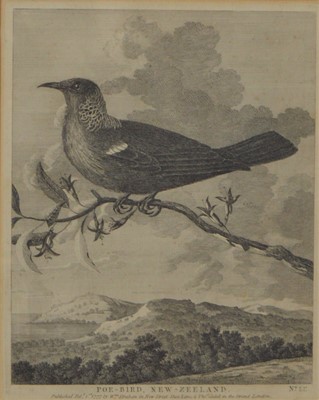 Lot 1719 - William Hodges - print