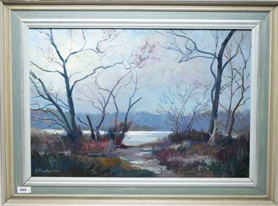 Lot 844 - Anthony Procter - oil