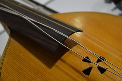 Lot 717 - Viol