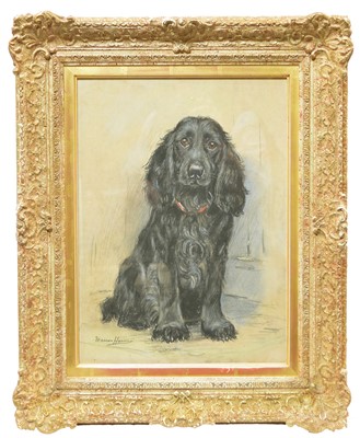Lot 485 - Marion Rodger Hamilton Harvey - pastel.