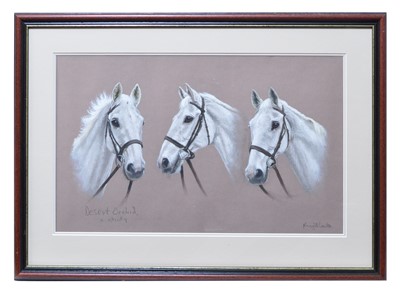 Lot 489 - Marigold Lawton - pastel.