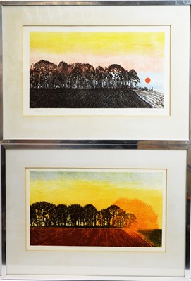 Lot 166 - Michael Carlo - etchings.