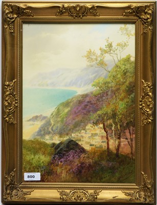 Lot 800 - John Shapland - watercolour.