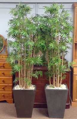 Lot 550A - A pair of bamboo effect plants