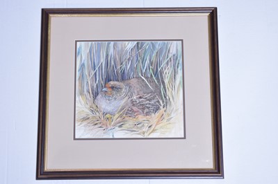 Lot 559 - Emma Faull - watercolour.