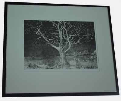 Lot 151 - Alan Turnbull - etching.