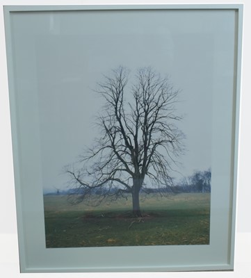 Lot 173 - Elizabeth McAlpine - colour photograph.