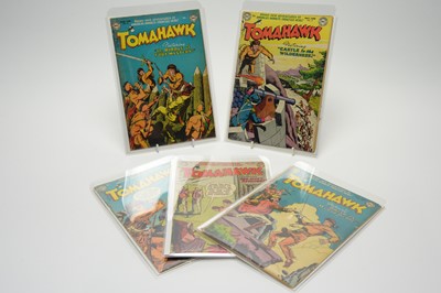 Lot 57 - Tomahawk by DC.