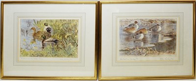 Lot 261 - Peter Partington - coloured etchings