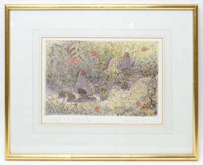 Lot 262 - Peter Partington - coloured etching