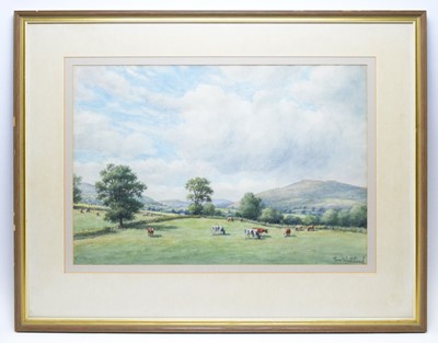 Lot 319 - Tom Whitehead - watercolours
