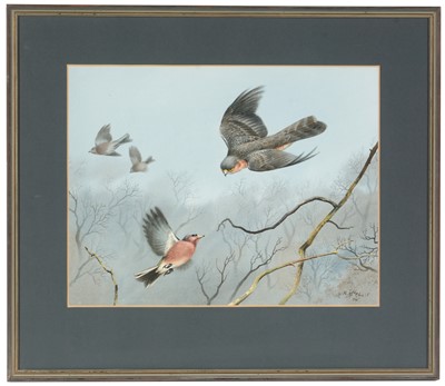 Lot 51 - Roger McPhail - watercolour