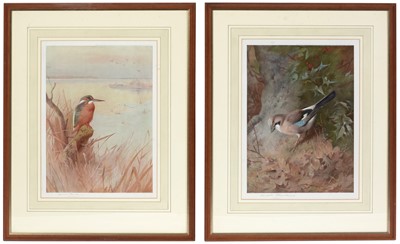 Lot 11 - Archibald Thorburn - signed prints