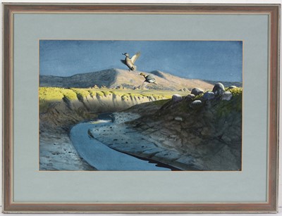 Lot 53 - Roger McPhail - watercolour