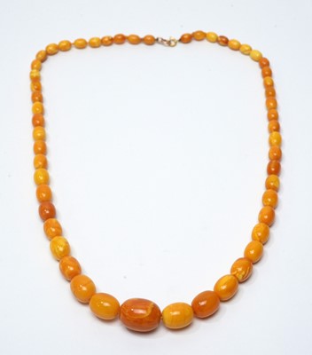 Lot 42 - A butterscotch amber bead necklace