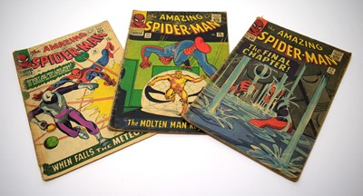 Lot 734 - The Amazing Spider-Man.